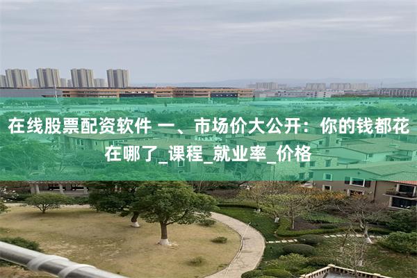 在线股票配资软件 一、市场价大公开：你的钱都花在哪了_课程_就业率_价格