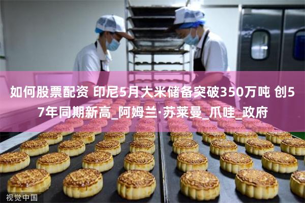 如何股票配资 印尼5月大米储备突破350万吨 创57年同期新高_阿姆兰·苏莱曼_爪哇_政府