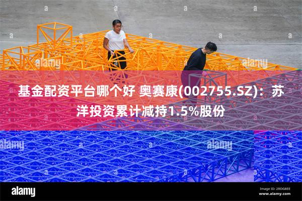 基金配资平台哪个好 奥赛康(002755.SZ)：苏洋投资累计减持1.5%股份