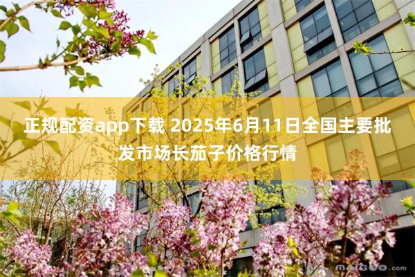 正规配资app下载 2025年6月11日全国主要批发市场长茄子价格行情