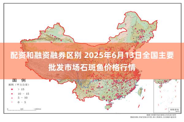 配资和融资融券区别 2025年6月13日全国主要批发市场石斑鱼价格行情