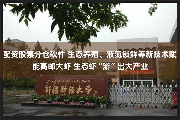 配资股票分仓软件 生态养殖、液氮锁鲜等新技术赋能高邮大虾 生态虾“游”出大产业